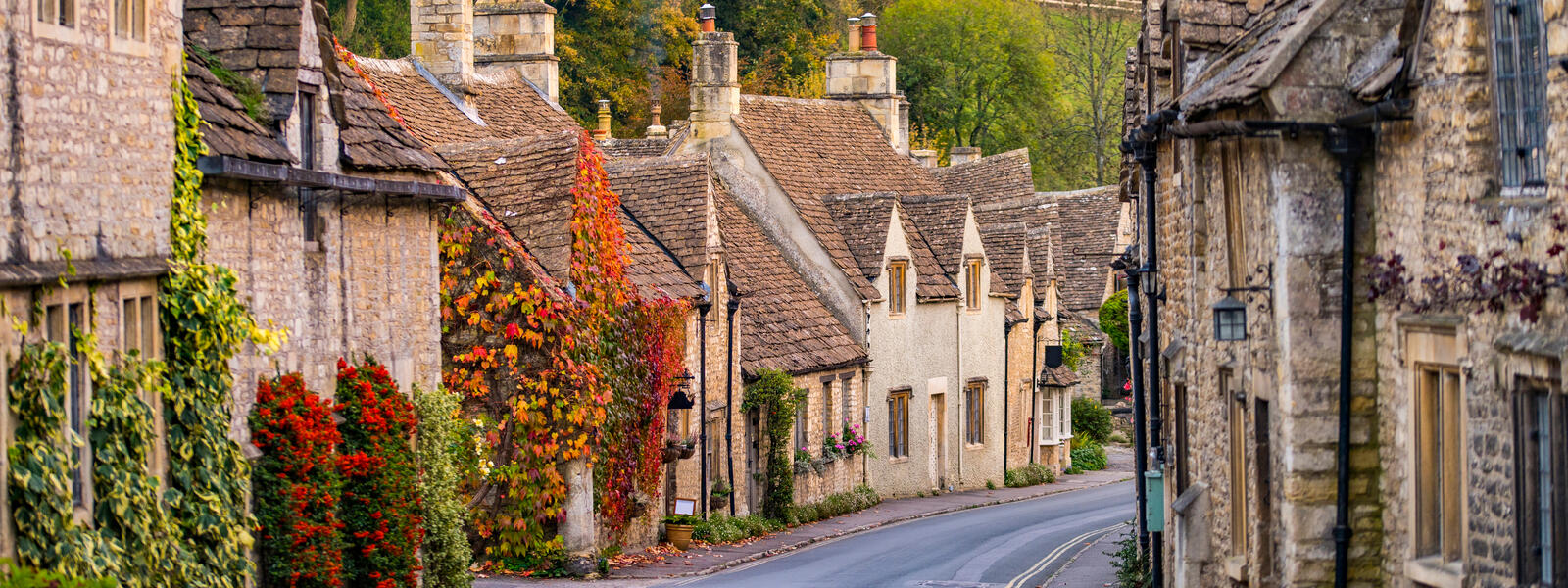 The Cotswolds