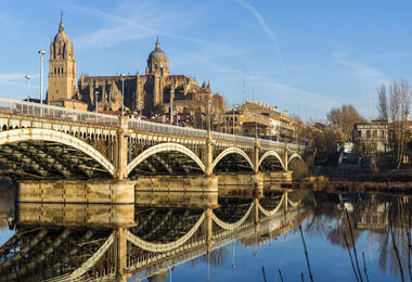 A scenic bridge spans a river, surrounded by lush greenery and a clear blue sky.