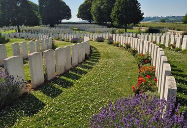 Graves of World War I soldiers, marked with headstones, surrounded by green grass and trees in a solemn cemetery.
