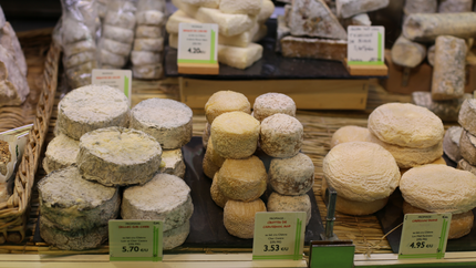 A variety of cheeses displayed on a wooden board, including brie, cheddar, and blue cheese.