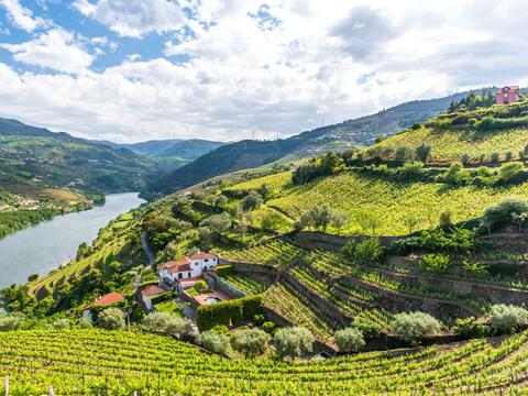 Scenic view of the Douro Valley in Portugal, showcasing terraced vineyards and the winding river under a clear blue sky.