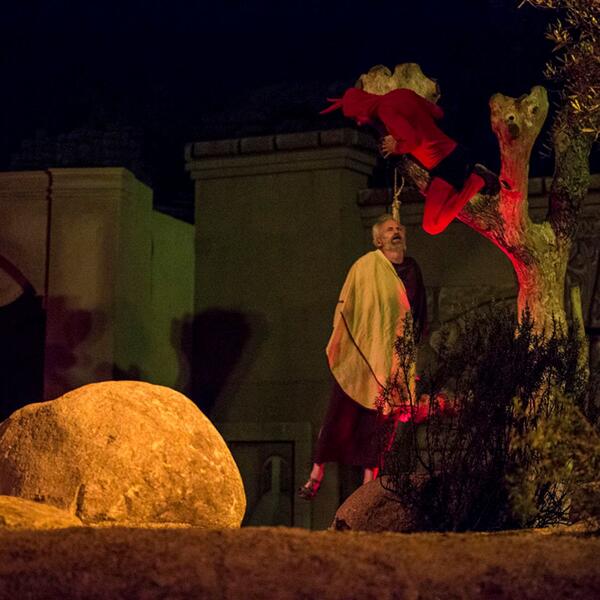 Actor suspended from a tree, illustrating the central message of sacrifice in the Sordevolo Passion Play.