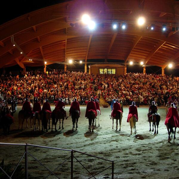 Spectators fill the area, captivated by a horse show performance, highlighting the event's lively atmosphere.