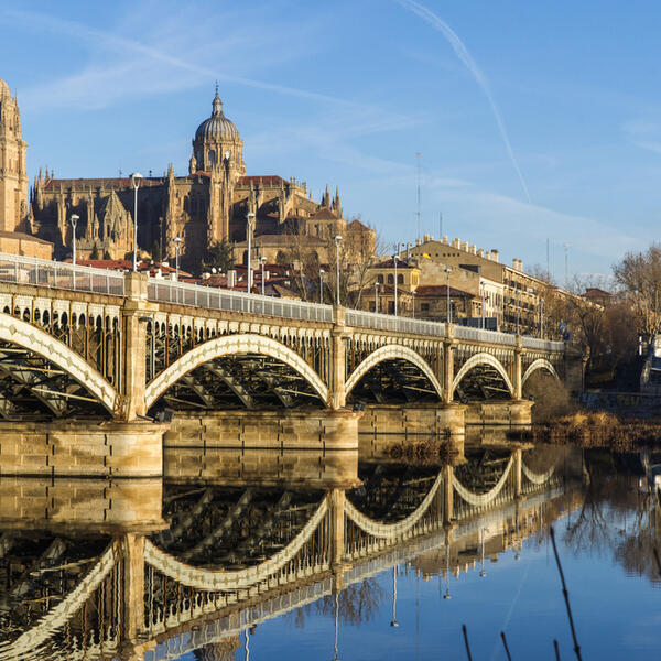 A scenic bridge spans a river, surrounded by lush greenery and a clear blue sky.